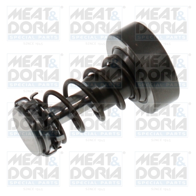 Reparatieset, common-rail-systeem Meat Doria 98636