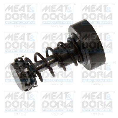 Reparatieset, common-rail-systeem Meat Doria 98659