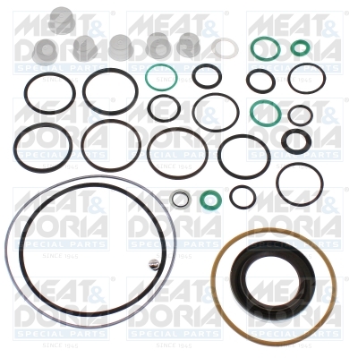 Reparatieset, common-rail-systeem Meat Doria 98791