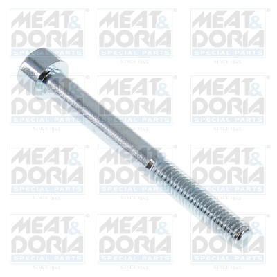 Reparatieset, common-rail-systeem Meat Doria 98793