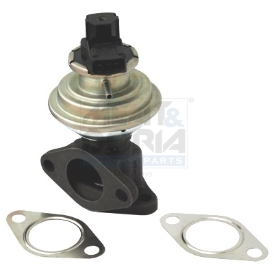 EGR-klep Meat Doria 88036