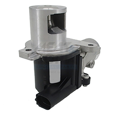 EGR-klep Meat Doria 88091