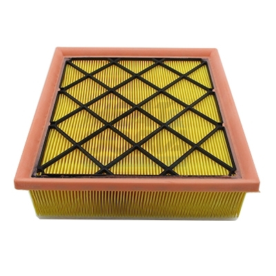 Luchtfilter Meat Doria 18448