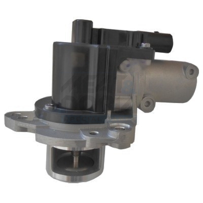 EGR-klep Meat Doria 88411