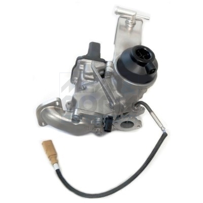 EGR koeler Meat Doria 88418