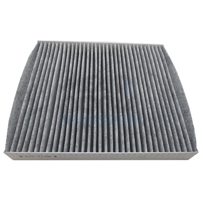 Interieurfilter Meat Doria 17585K