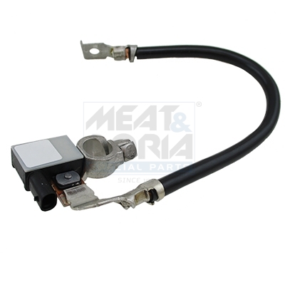 Accumanagement sensor Meat Doria 241011