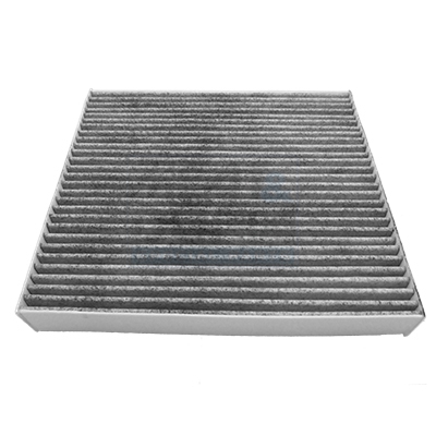 Interieurfilter Meat Doria 17595K