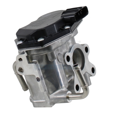 EGR-klep Meat Doria 88902