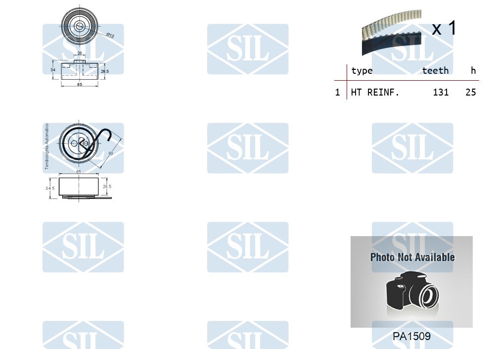 Saleri Distributieriem kit inclusief waterpomp K2PA1509