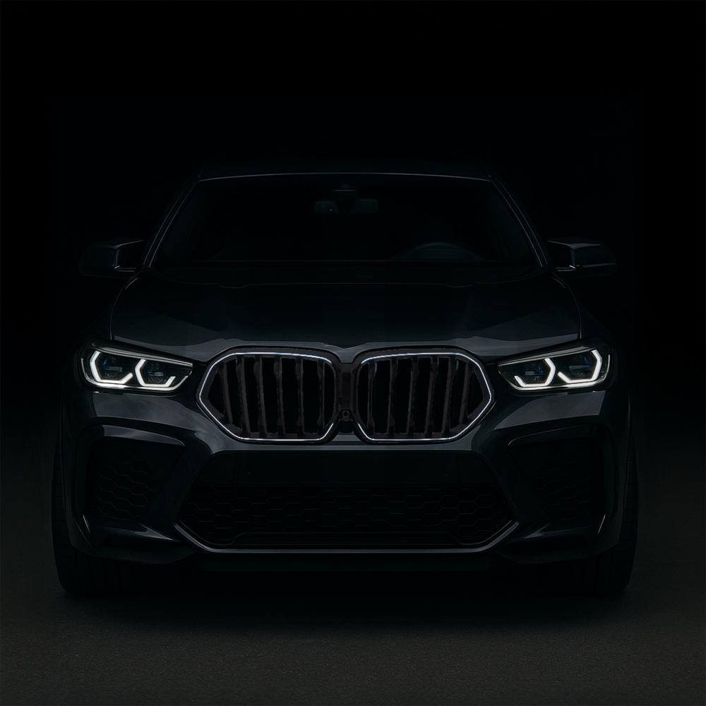 Diederichs Radiateurgrille 1294244