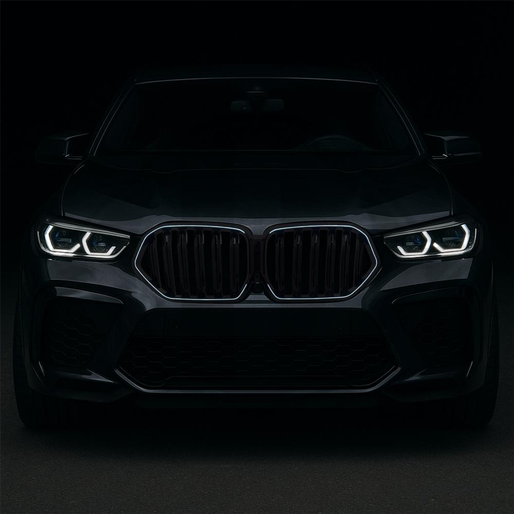 Diederichs Radiateurgrille 1294245