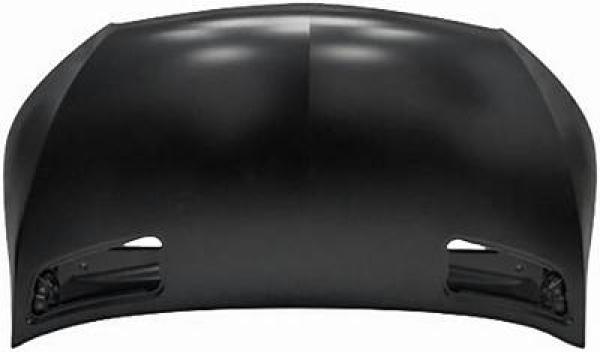 Motorkap Diederichs 1664000