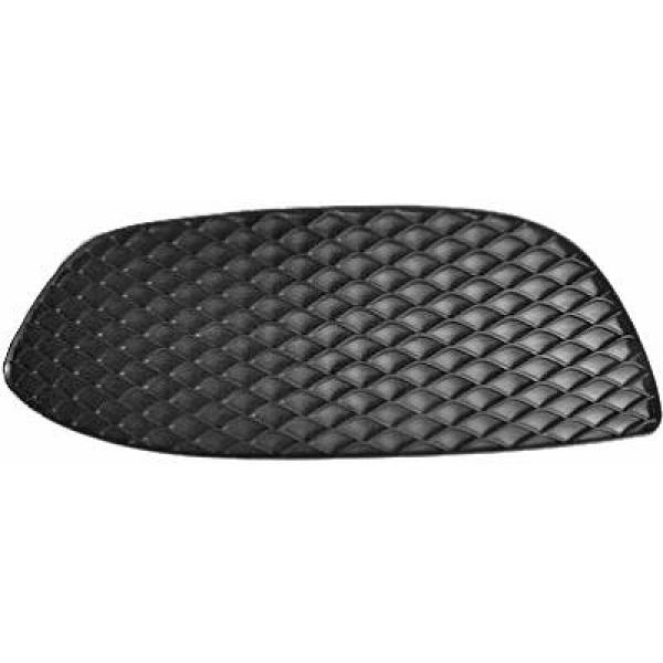 Grille Diederichs 1673047