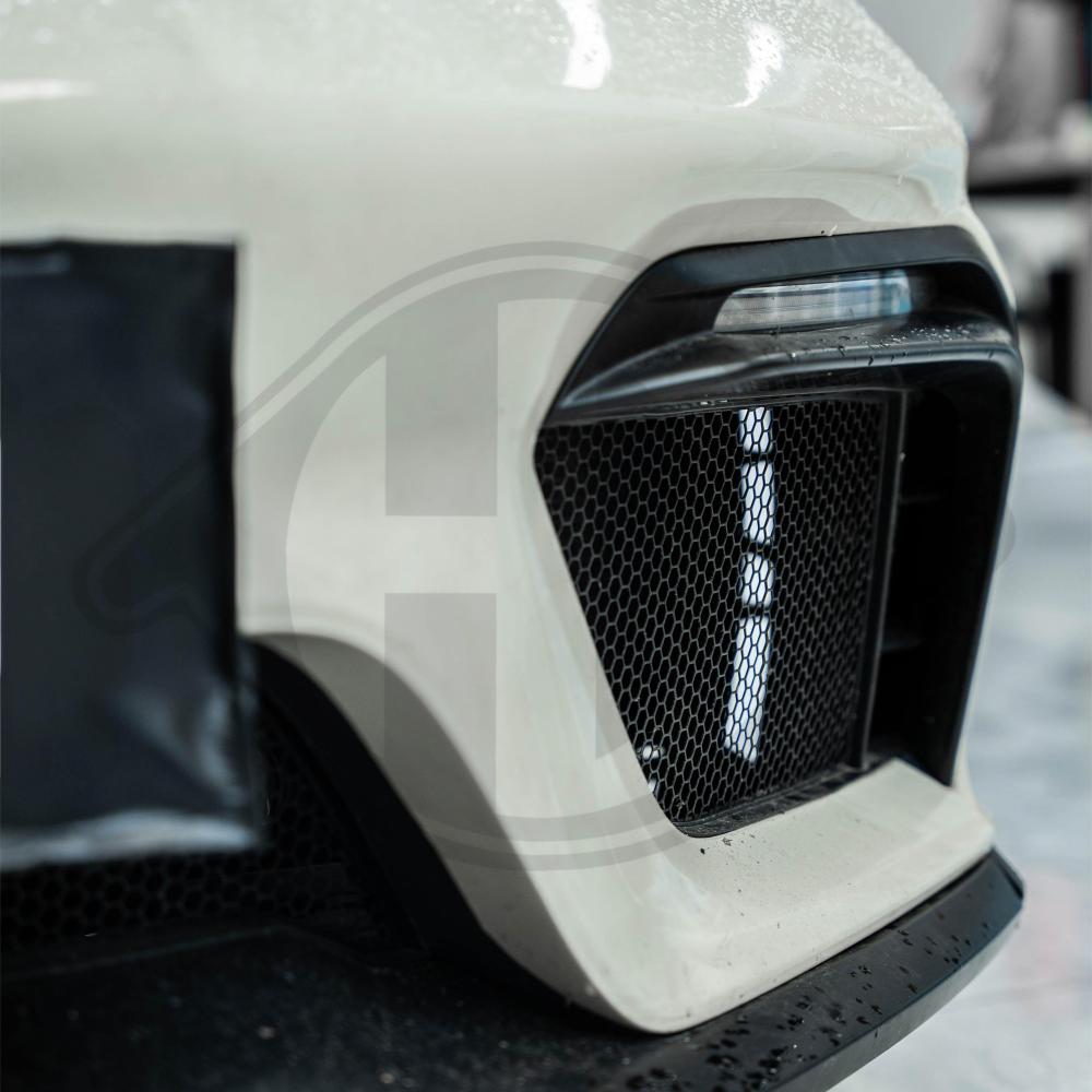 Diederichs Bumper 2010251