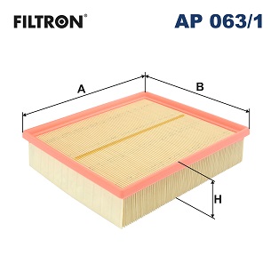 Luchtfilter Filtron AP 063/1