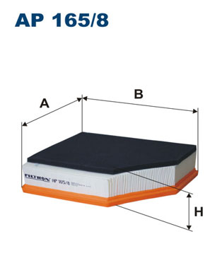 Luchtfilter Filtron AP 165/8