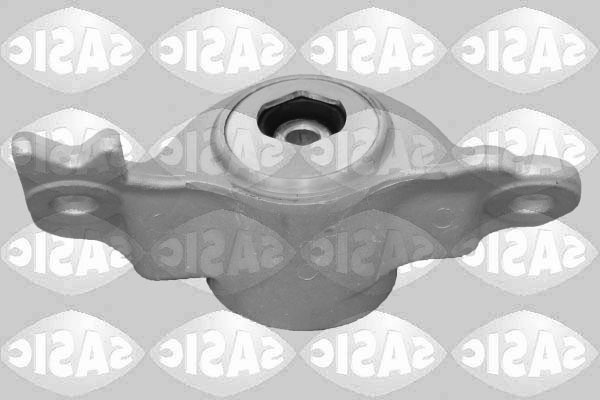 Veerpoot Sasic 2650147