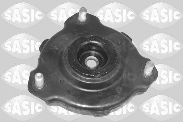 Veerpoot Sasic 2656213