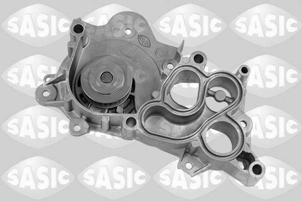 Waterpomp Sasic 3606122