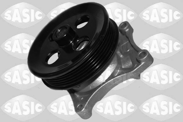 Waterpomp Sasic 3606134