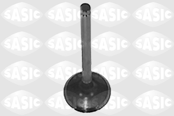 Uitlaatklep Sasic 4000959