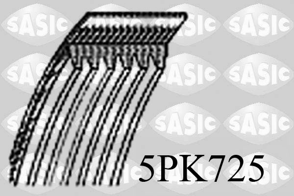 Poly V-riem Sasic 5PK725