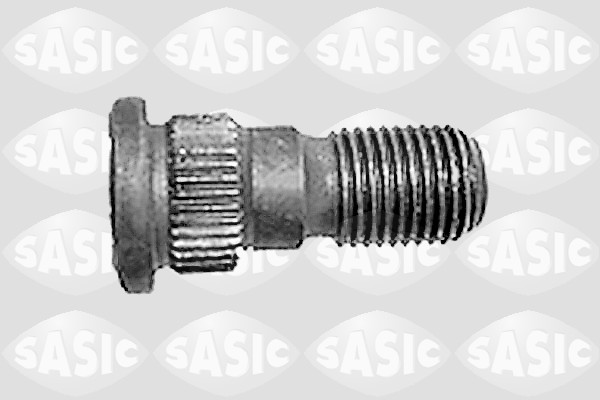 Wielbout/moer Sasic 7143203