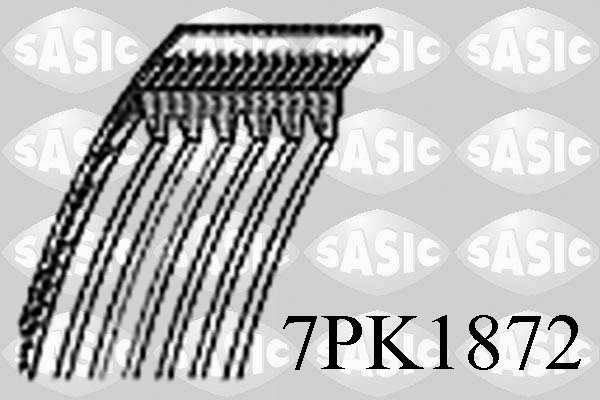 Poly V-riem Sasic 7PK1872