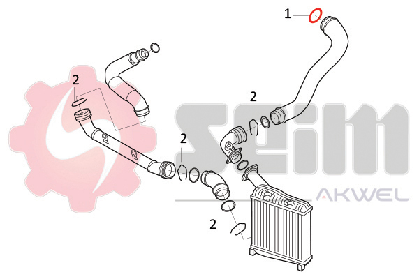 Seim Laadlucht-/turboslang 981721