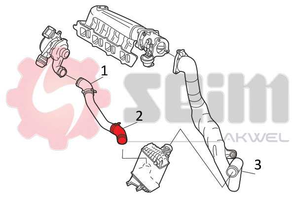 Seim Laadlucht-/turboslang 981778