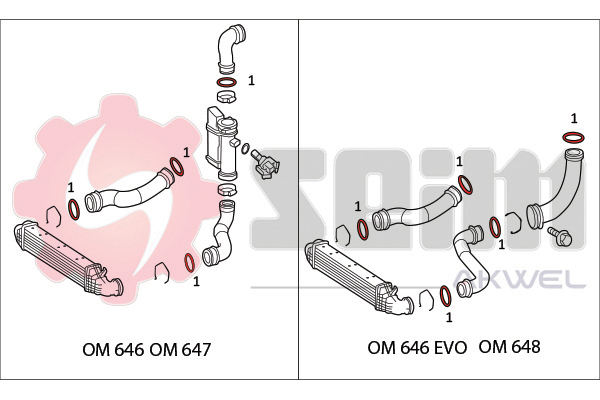 Seim Laadlucht-/turboslang 981840