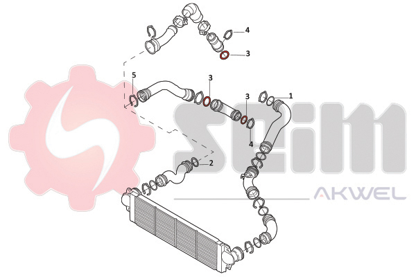 Seim Laadlucht-/turboslang 981967