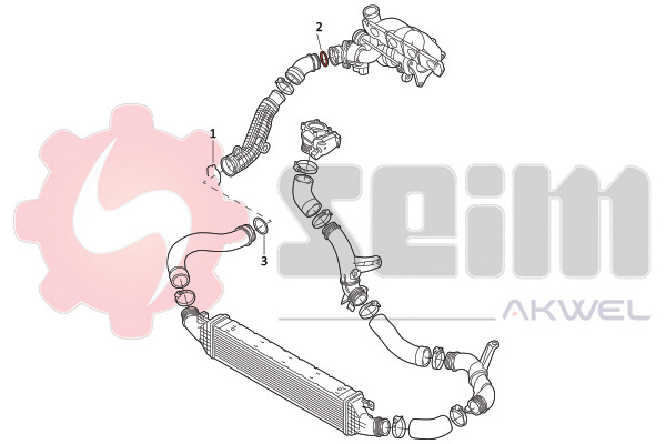 Seim Laadlucht-/turboslang 981968