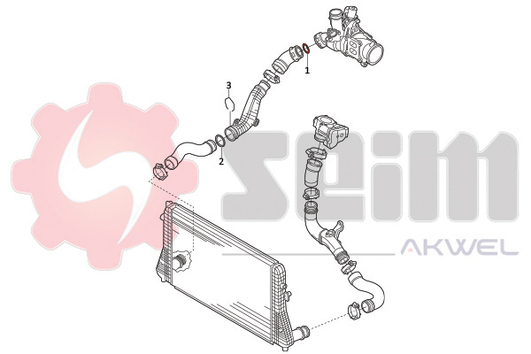 Seim Laadlucht-/turboslang 981968