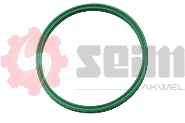 Seim Laadlucht-/turboslang 981969