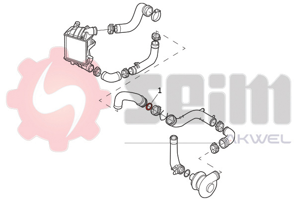 Seim Laadlucht-/turboslang 981969