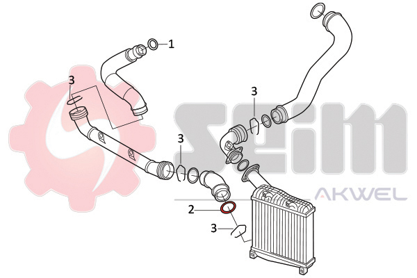 Seim Laadlucht-/turboslang 981969