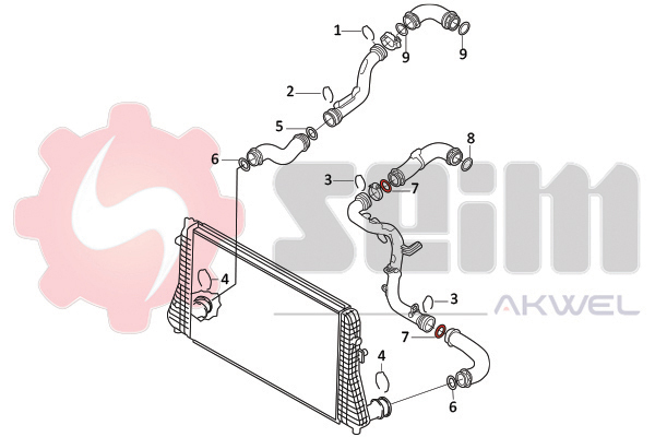 Seim Laadlucht-/turboslang 981969