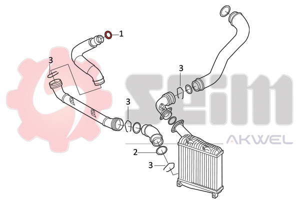 Seim Laadlucht-/turboslang 981970