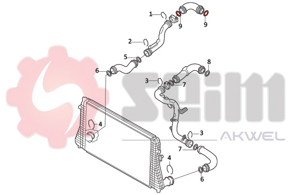 Seim Laadlucht-/turboslang 981970