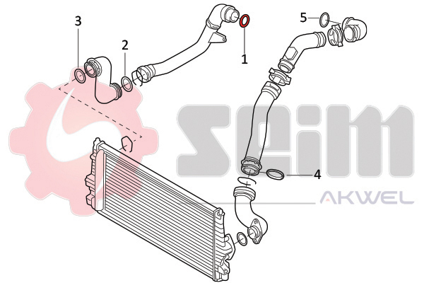 Seim Laadlucht-/turboslang 981970