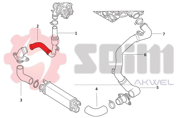Seim Laadlucht-/turboslang 982013