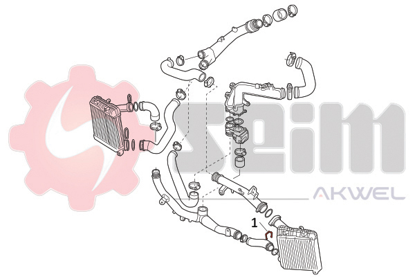 Seim Laadlucht-/turboslang 982053