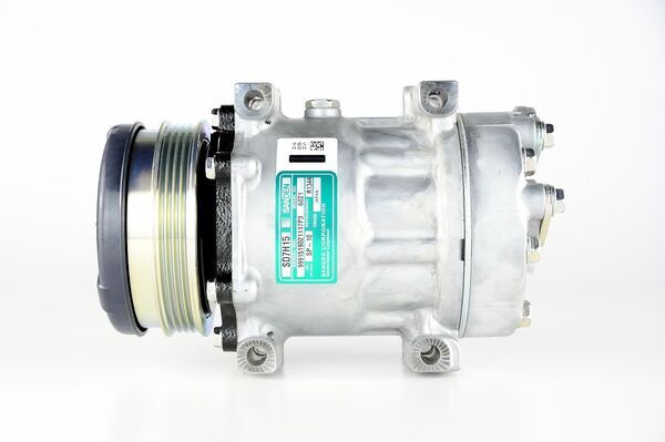 Mahle Original Airco compressor ACP 1064 000P