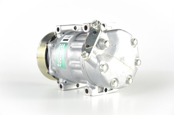 Mahle Original Airco compressor ACP 117 000P