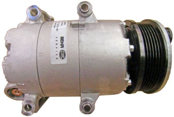 Mahle Original Airco compressor ACP 1366 000P