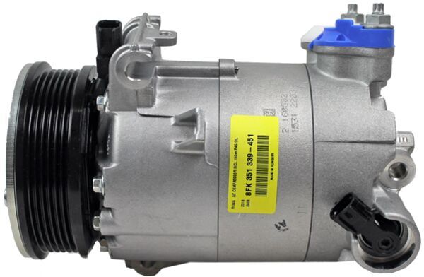 Mahle Original Airco compressor ACP 1394 000P