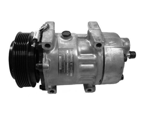 Mahle Original Airco compressor ACP 387 000P