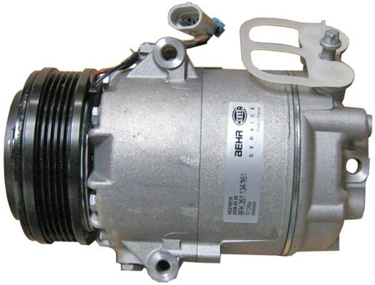 Mahle Original Airco compressor ACP 45 000S